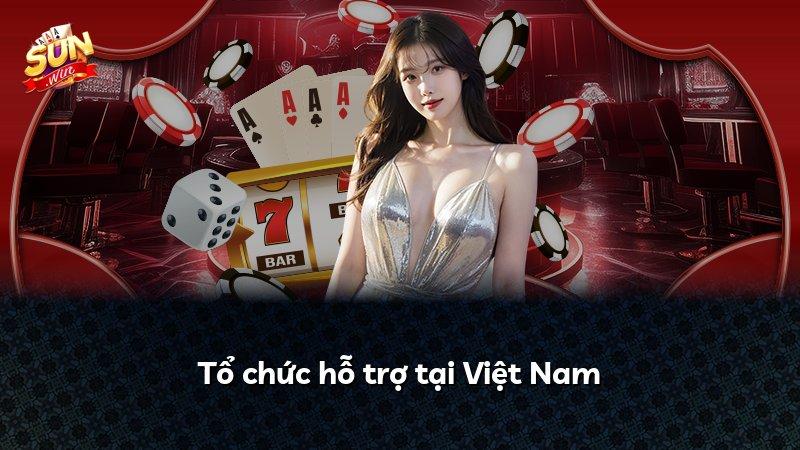 Tổ chức hỗ trợ tại Việt Nam